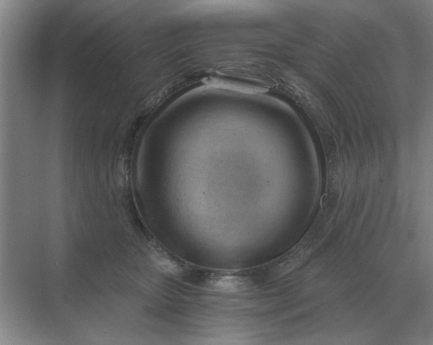 X0000068900467200605192205