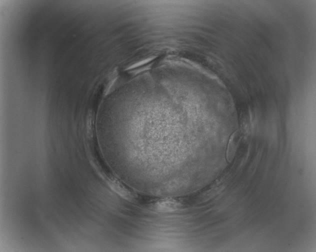 X0000068900468200605192205
