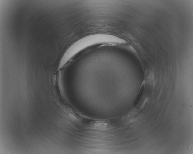 X0000068900471200605192205