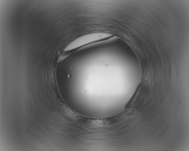X0000068900473200605192205