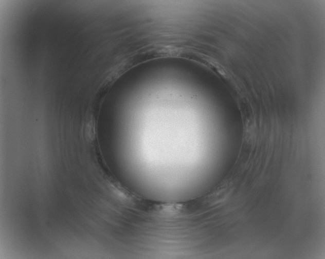 X0000068900474200605192205