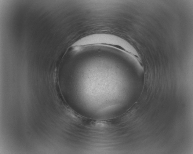 X0000068900475200605192205
