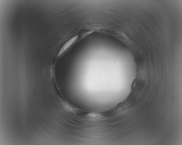 X0000068900477200605192205
