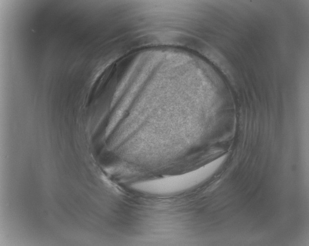 X0000068900481200605192205
