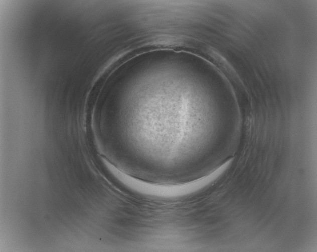 X0000068900484200605192205