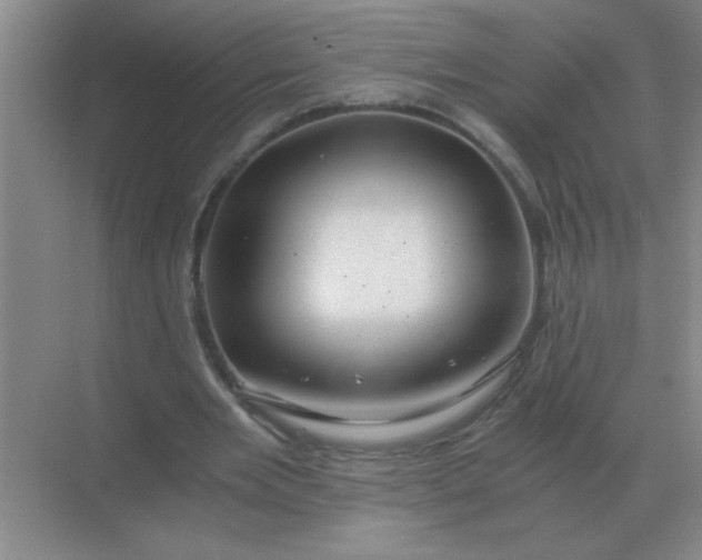 X0000068900485200605192205