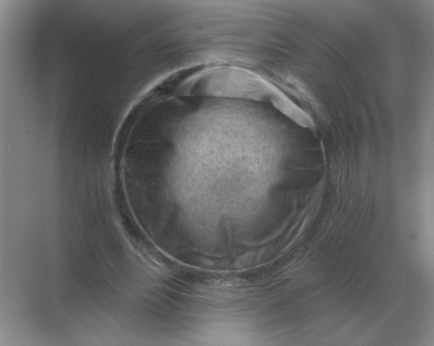 X0000068900488200605192205