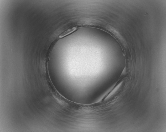 X0000068900489200605192205