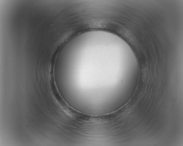 X0000068900490200605192204