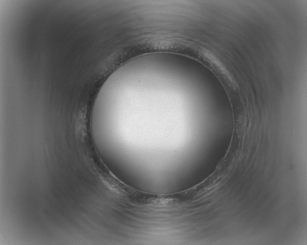X0000068900497200605192204