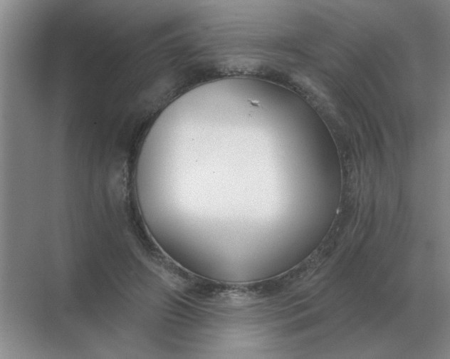 X0000068900498200605192204