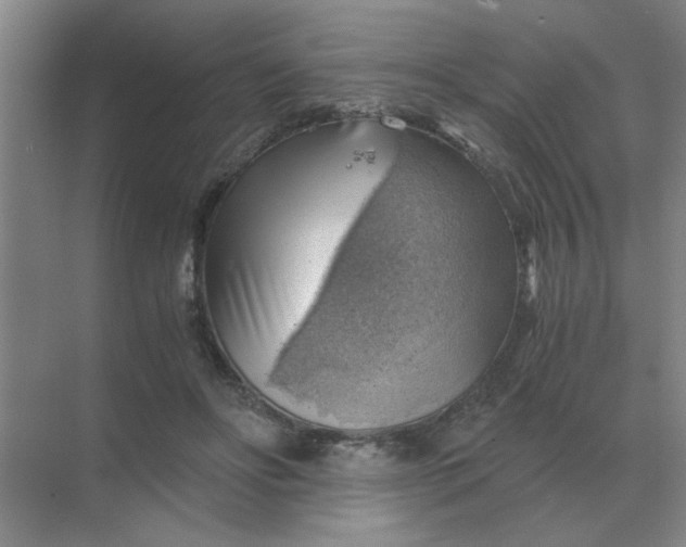 X0000068900502200605192204