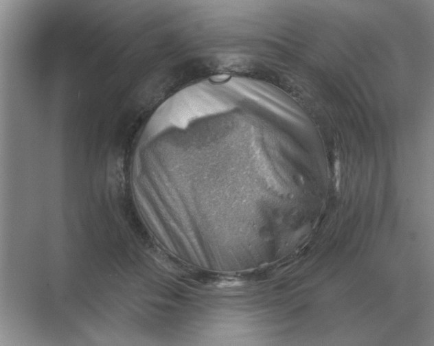 X0000068900506200605192204