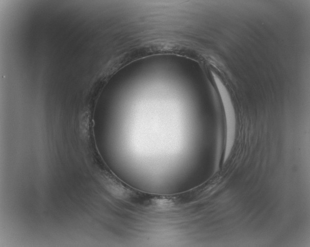 X0000068900509200605192204