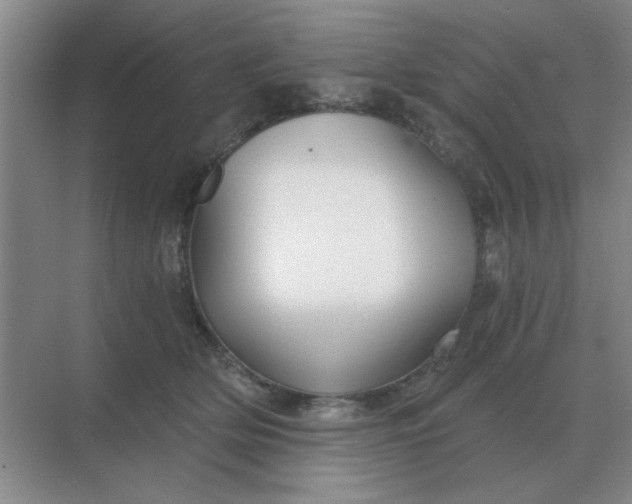 X0000068900514200605192204