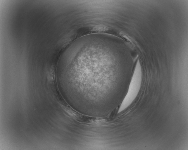 X0000068900517200605192204