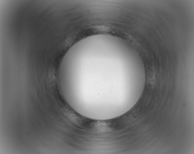 X0000068900518200605192204