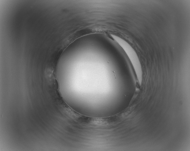 X0000068900521200605192204