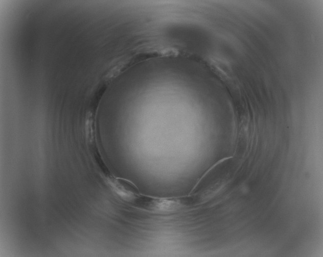 X0000068900527200605192204
