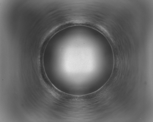 X0000068900535200605192203