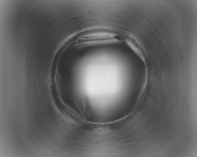 X0000068900536200605192203
