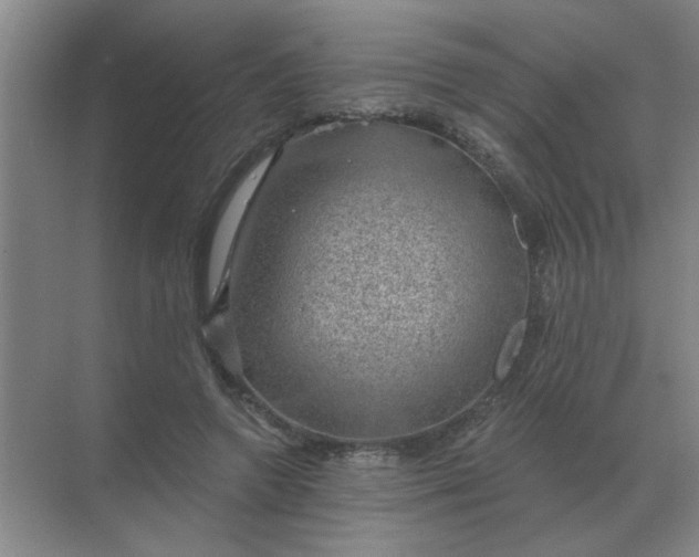 X0000068900546200605192203