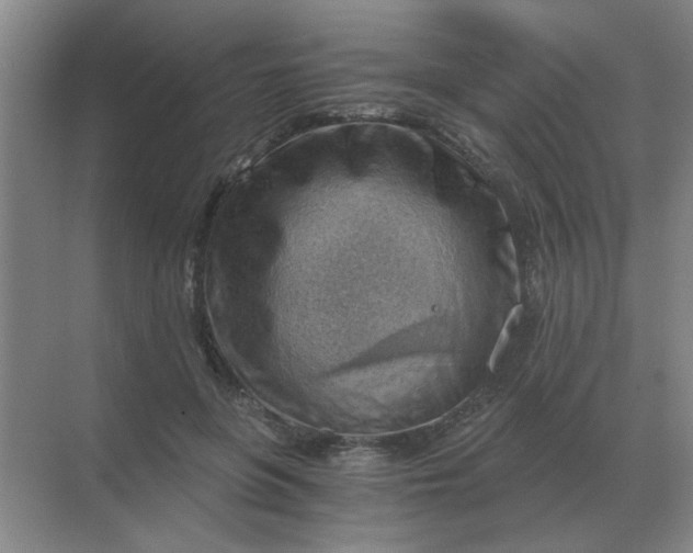 X0000068900551200605192203