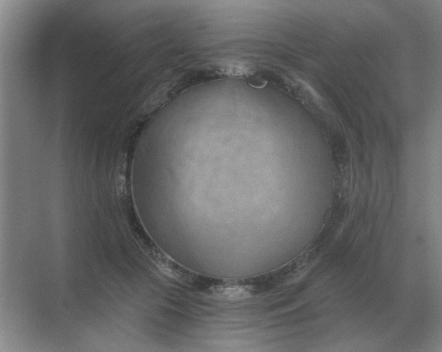 X0000068900553200605192203