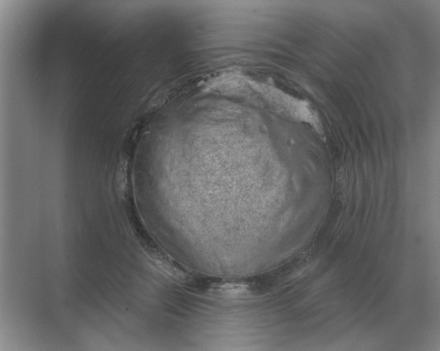X0000068900554200605192203