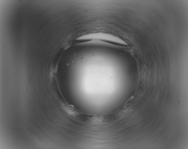 X0000068900574200605192204