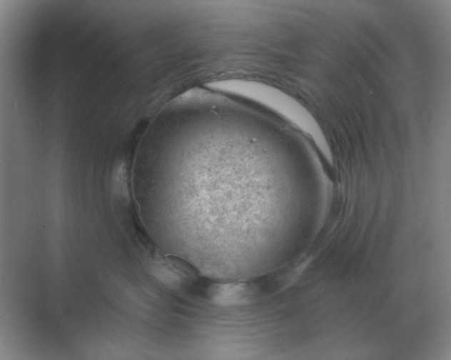 X0000068900575200605192204