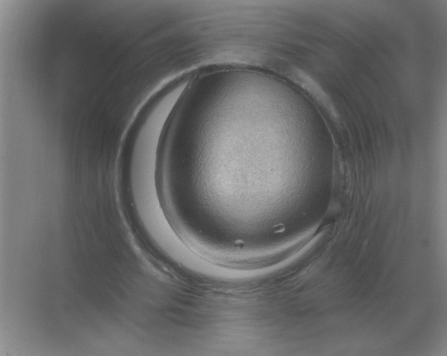 X0000068900580200605192203