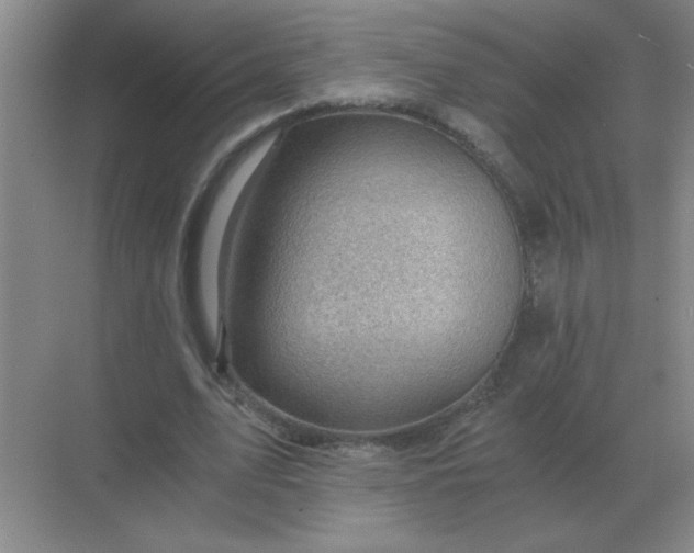 X0000068900583200605192203