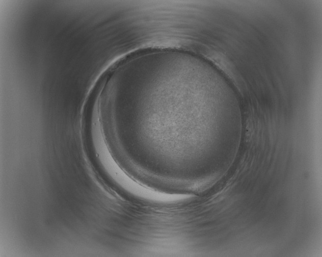 X0000068900584200605192203