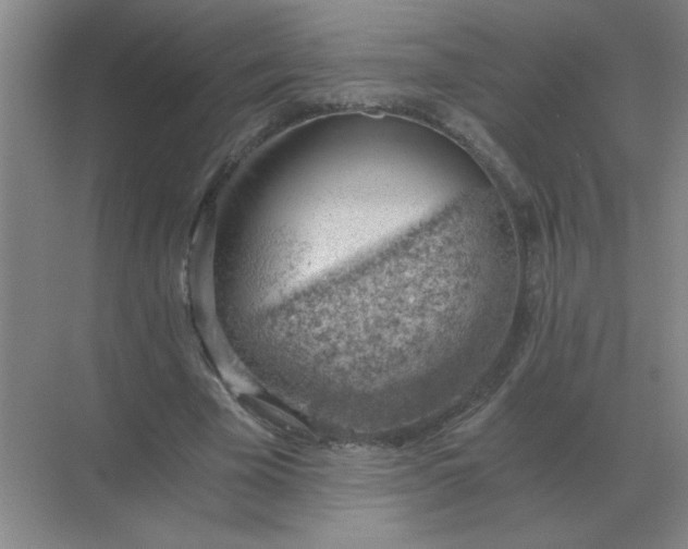 X0000068900585200605192203