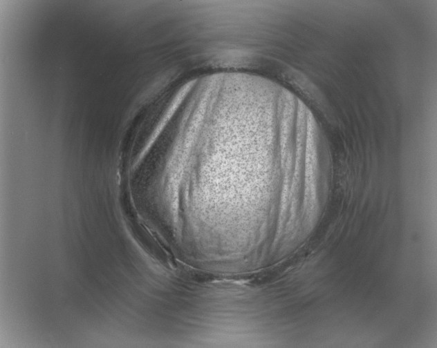 X0000068900586200605192203