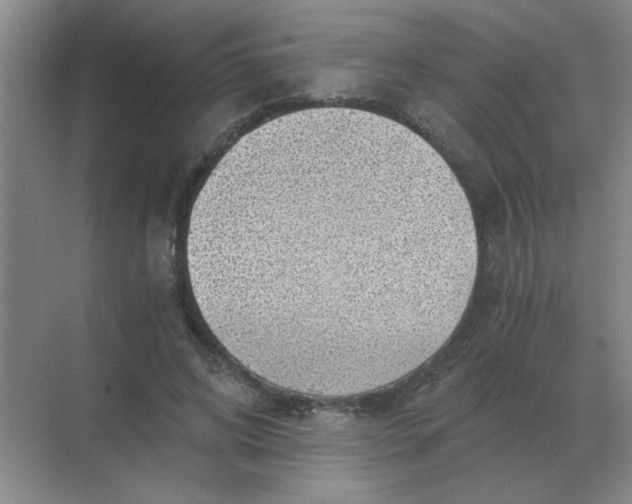 X0000068900592200605192203