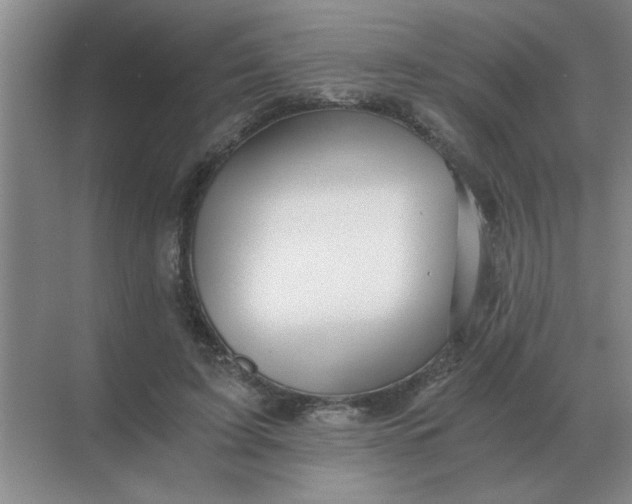 X0000068900595200605192203
