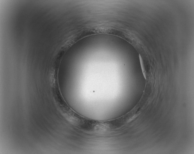 X0000068900599200605192203