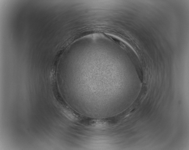 X0000068900601200605192203