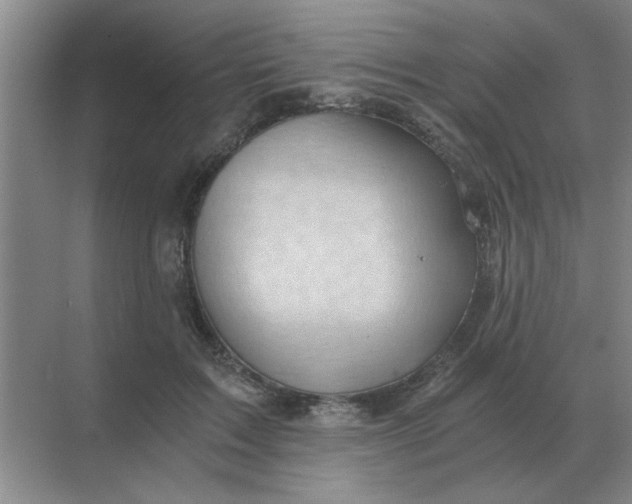 X0000068900603200605192203