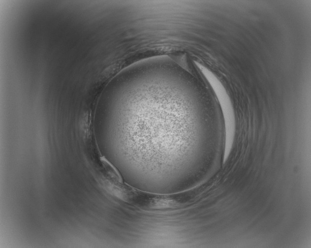 X0000068900605200605192203