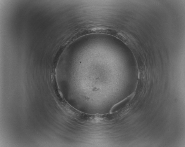 X0000068900607200605192203