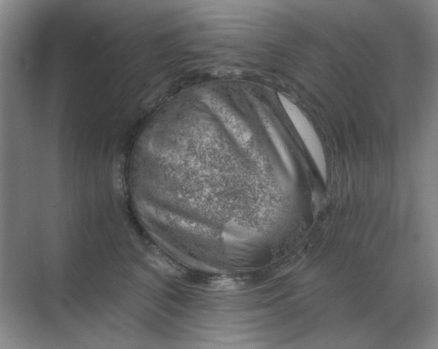 X0000068900616200605192202