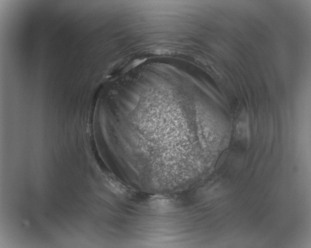 X0000068900620200605192202