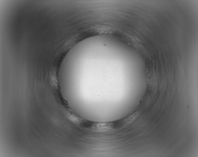 X0000068900622200605192202
