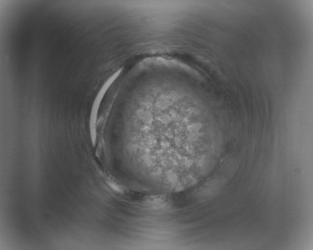 X0000068900624200605192202