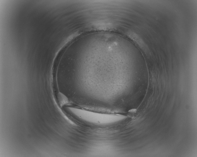 X0000068900630200605192202