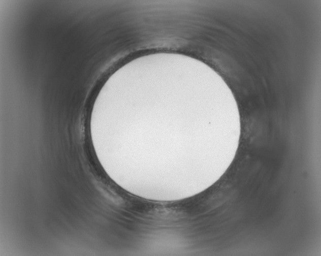 X0000068900632200605192202