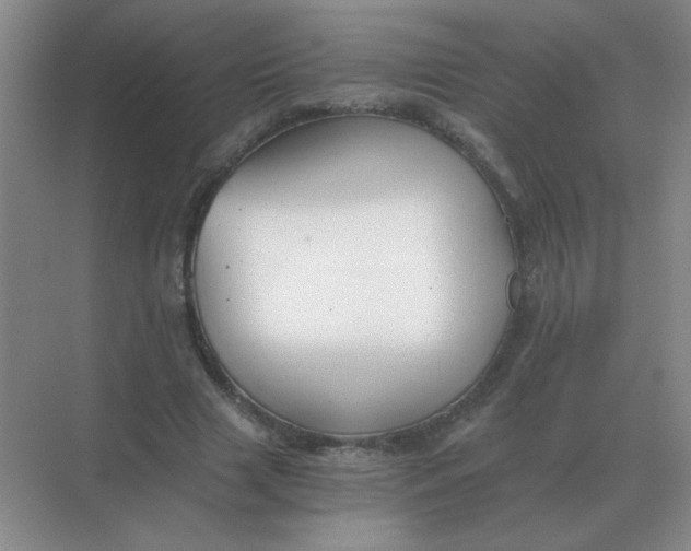 X0000068900633200605192202